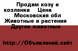 Продам козу и козленка  › Цена ­ 15 000 - Московская обл. Животные и растения » Другие животные   